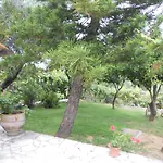 Gina