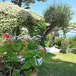 Apartamento Gina *