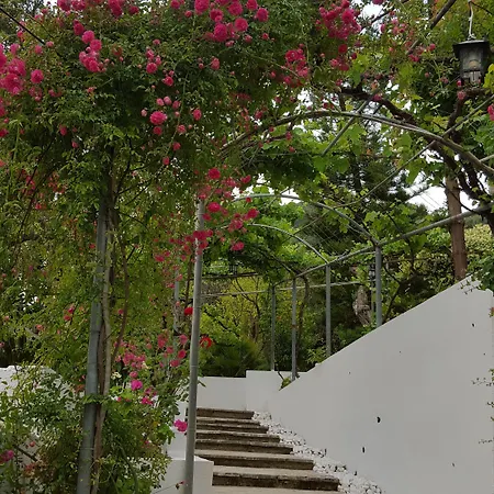 Gina Apartamento Benitses (Corfu)
