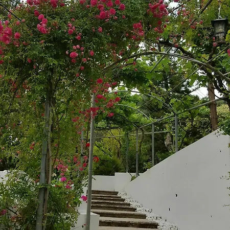 Gina Benitses (Corfu)